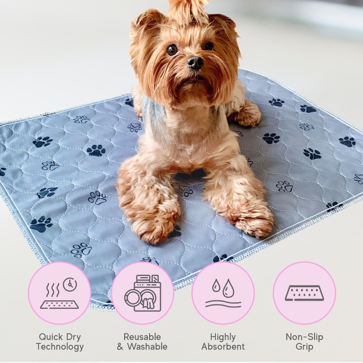 Animal Por Que Los Perros Se Orinan En Las Camas Animal Mi Perro