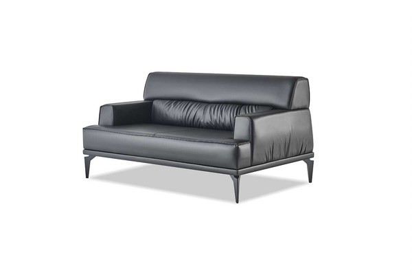 Sofa 2-Sitzer Schwarz Modern Ledersofa Edelstahl Couch SitzmöBel Leder-image