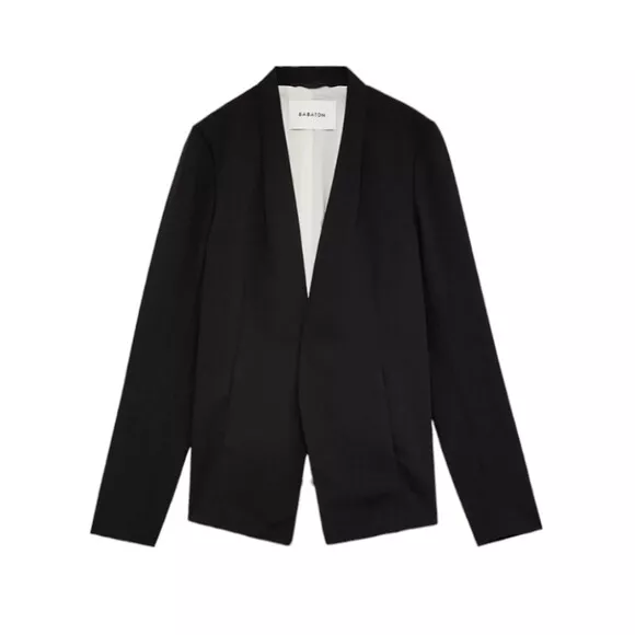 Aritzia Babaton Keith Blazer Jacket eBay