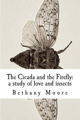 The Cicada And The Firefly: A Study Of Love And Insects
