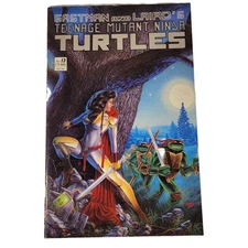 1988 Mirage Studios Eastman and Laird's Teenage Mutant Ninja Turtles #13