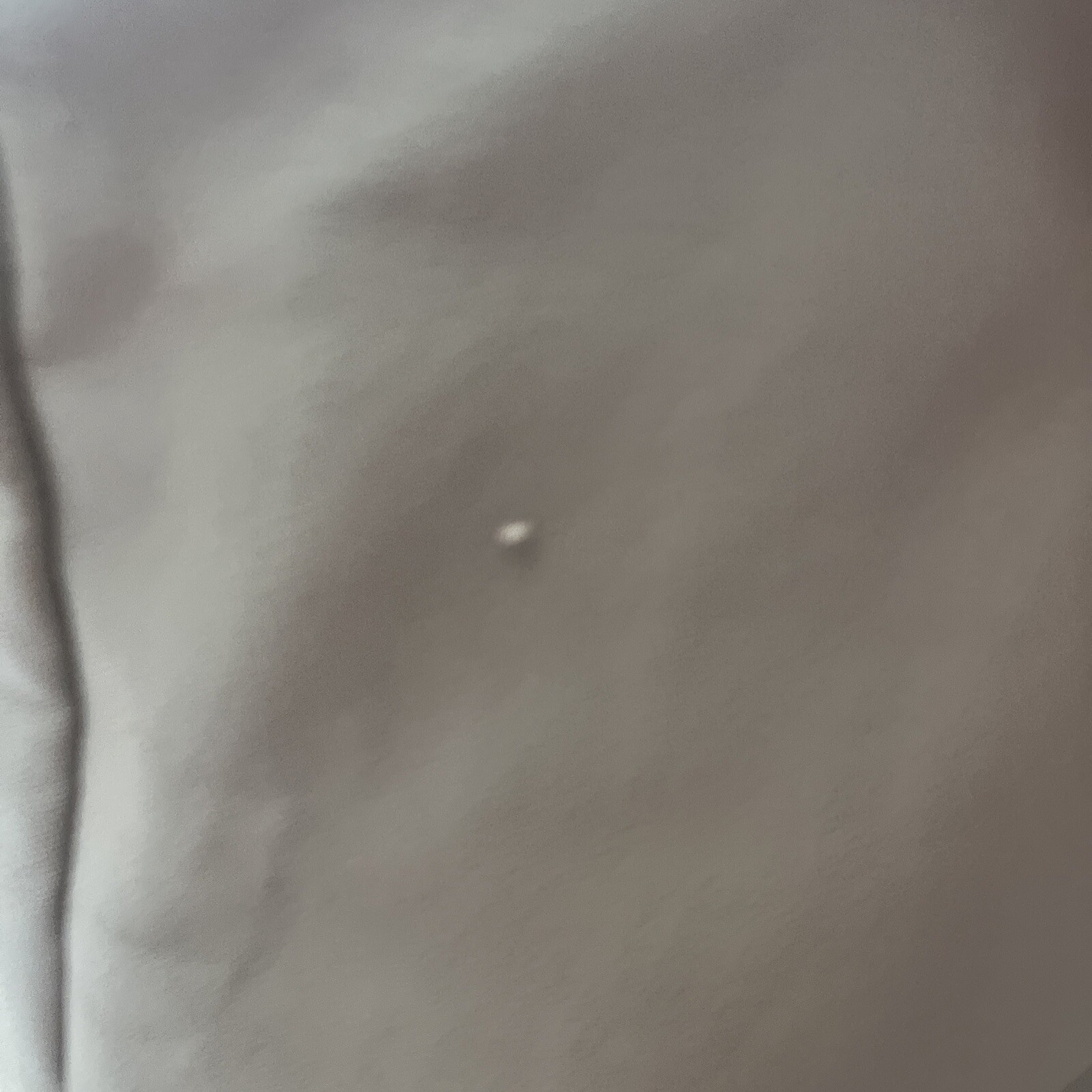 Picture 2 of 4