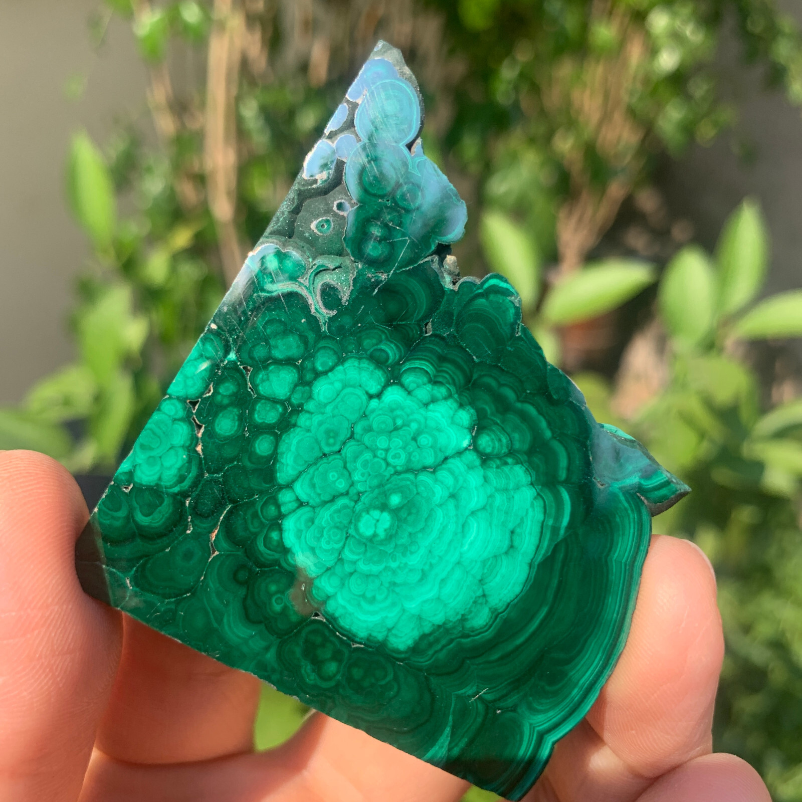 61g  Natural malachite slice quartz crystal luster mineral specimen