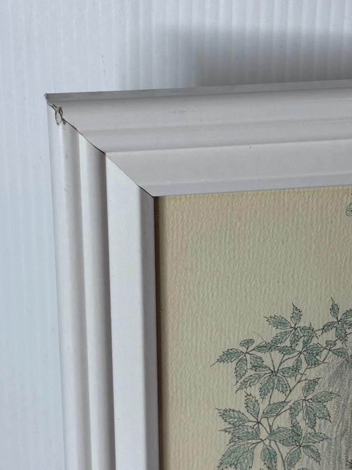 Boceto artístico vintage años 70 Bill limpio tinta dibujo mapache bosque animal enmarcado 8x10 Foto 4 de 4