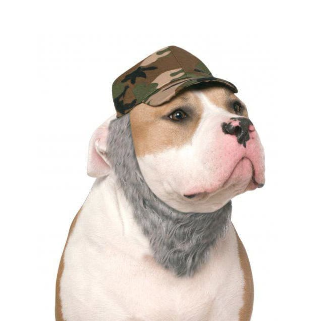 Rubie's Costume Duck Dynasty Dog Hat Pet Halloween Hat with Beard Small