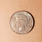 1927-D Morgan Dollar grades AU/BTR, Album Toning, Lustrous & Attractive.