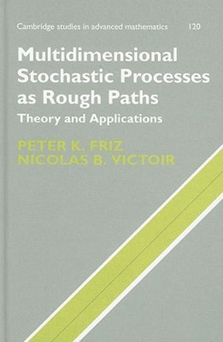 Multidimensional Stochastic Processes as Rough Paths Theory and Applications