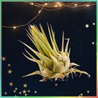 Foto 6 di 6