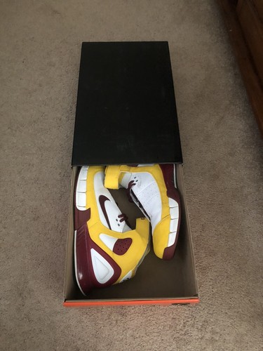 lebron shoes 2003