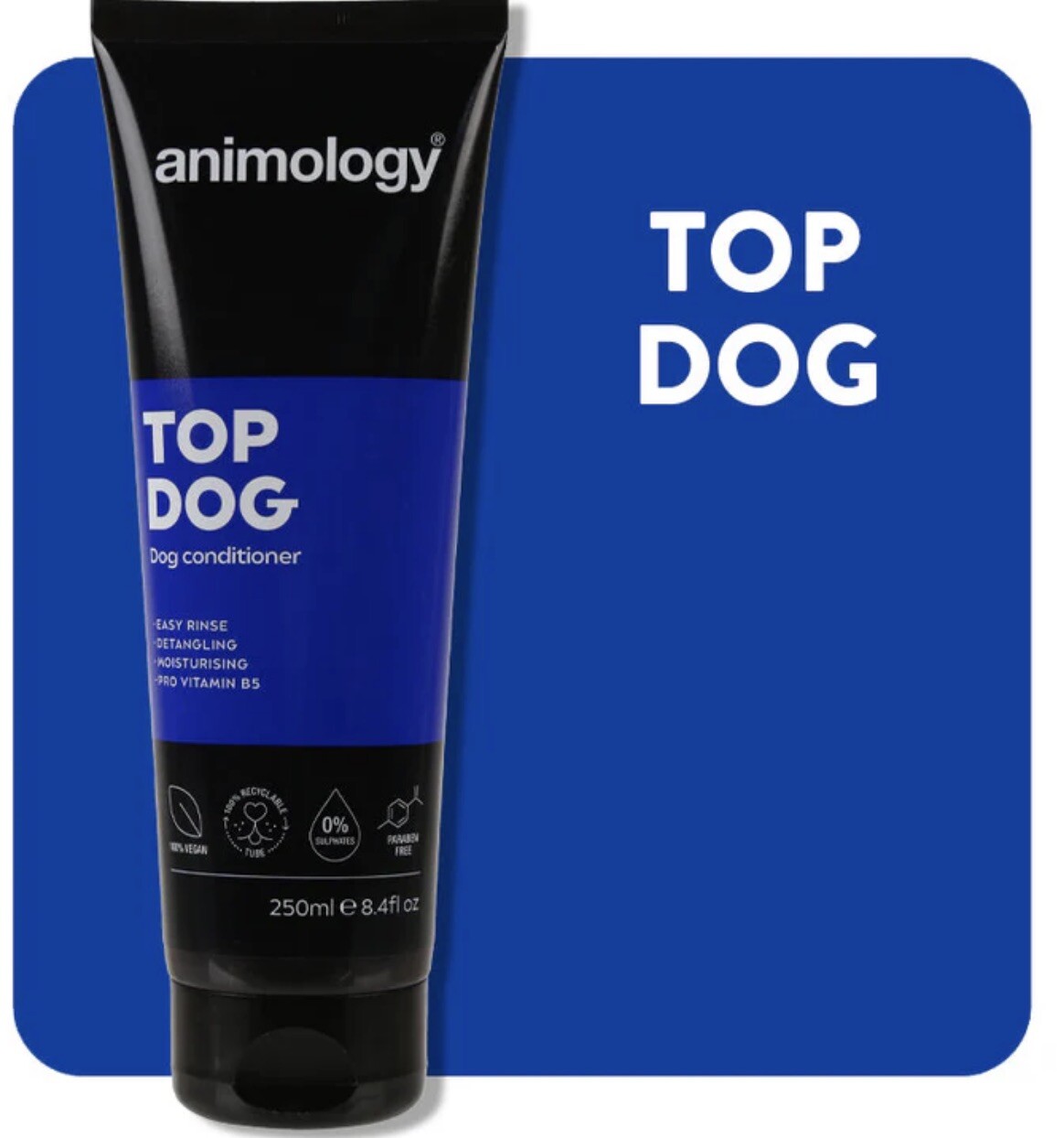 Animology Spa Day Skin & Coat Shampoo 250ml - Image 2