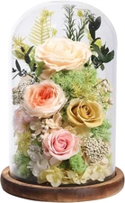 Flowers for Delivery Preserved Flowers Rose in Glass Dome,Champagne Rose Forever