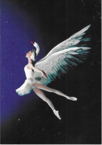 Swan Lake - English National Ballet - Used Postcard