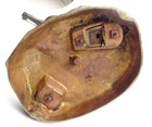 Bild 12 von 12
