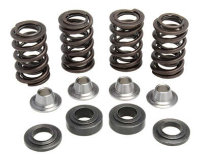 KIBBLEWHITE VALVE SPRING KIT .450'' LIFT