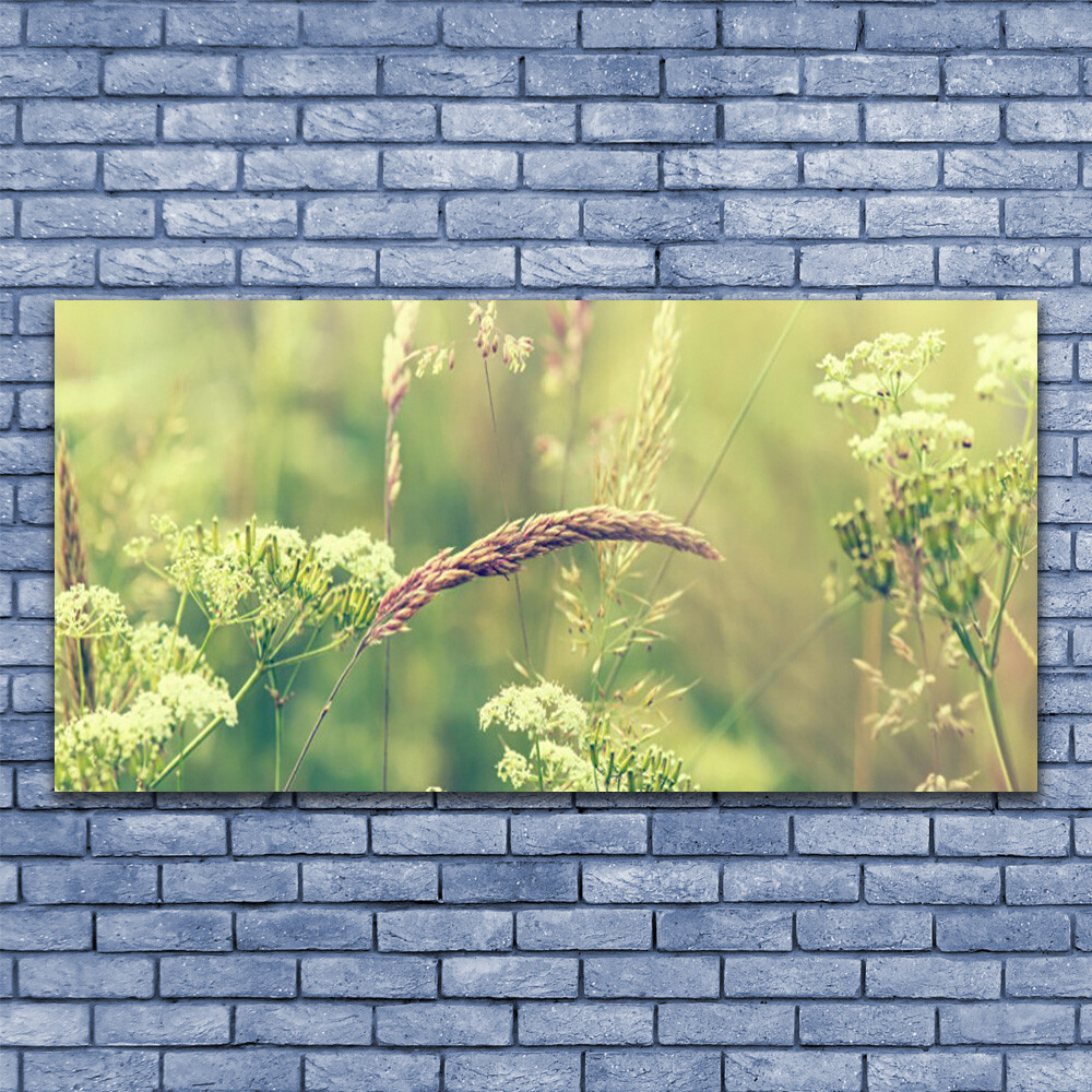 Tableau en Plexiglas® haut de gamme fleurs sauvages 140x70cm