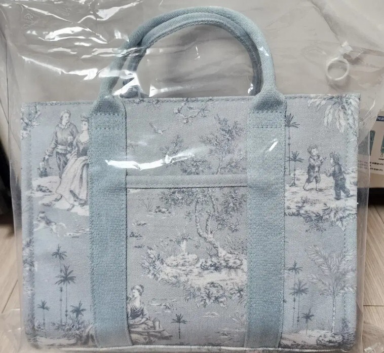 NEW* Starbucks Korea 24 French Summer Picnic Tote Bag