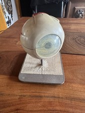 Lehrmodell Menschliches Auge Anatomie Modell altes Anatomiemodell Phywe Vintage