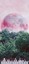 moonlightuniverse