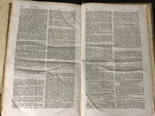 ESTATE Linguae Latinae Thesaurus Matthia Gesnero I & II Vellum - Imagen 8 de 12