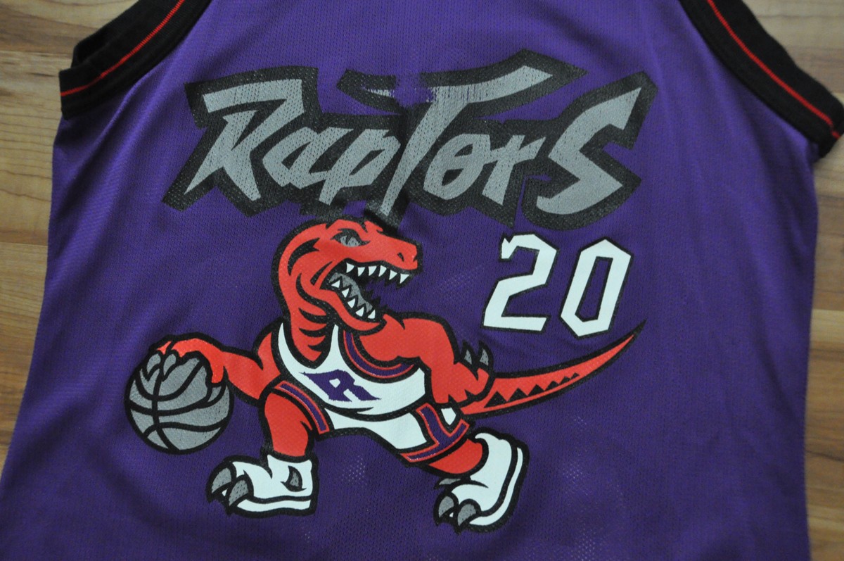 NBA チャンピオン　Raptors Stoudamire 20 ジャージ 紫 Damon Stoudamire #20 Toronto Raptors Champion Jersey NBA