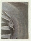 Bild 105 von 207