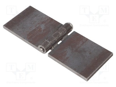 ELESA+GANTER GN-1366-ST-160-60-A-BL Scharnier