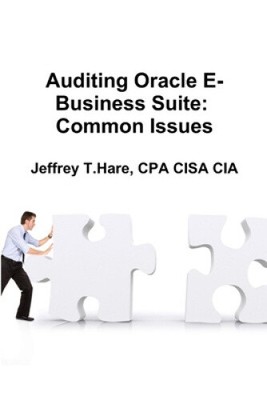 Auditing Oracle E-Business Suite: Common Issues [Paperback]