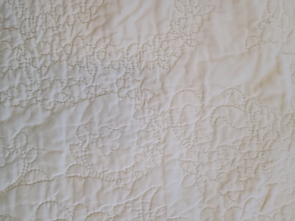 Almohadas de algodón orgánico Amy Butler Welspun Full/queen amarillo azulado Foto 4 de 4