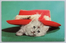Try This One For Size! Gray & White Fluffy Blue Eye Tabby Kitten Big Red Hat UNP