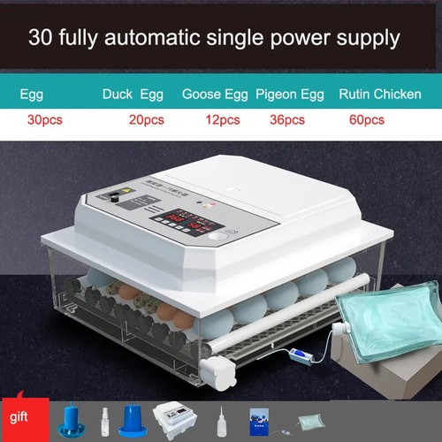Inkubator Eierinkubator kleiner Haushalt automatische intelligente Kükente Gans - Bild 10 von 10