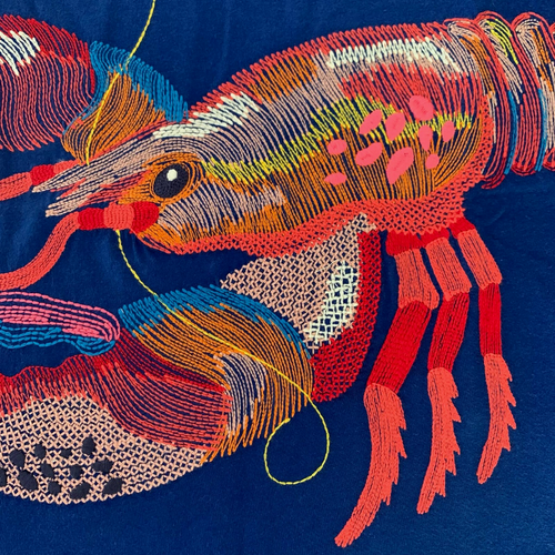 MINI BODEN Unique "LOBSTER" Superstitch Shirt. 9-10 Years. Great Gift Idea! - Picture 5 of 21