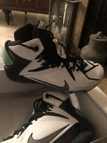 lebron 12 ebay