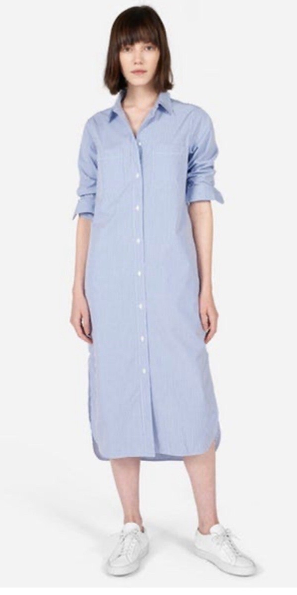 everlane striped shirt dress The Mariner Dress