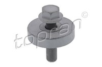 Topran 701 616 Riemenscheibenschraube FüR Renault