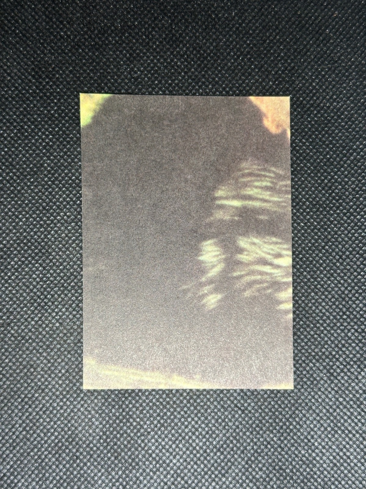 Picture 45 of 81