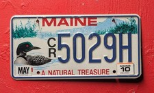 A Loon, A Natural Treasure Depicted On A Collectible Maine License Plate