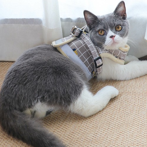 Set Imbracatura e Guinzagli da Passeggio per Cuccioli Cane Piccolo Gatto Forniture per Animali Domestici Gilet Riflettente~ - Foto 12 di 32