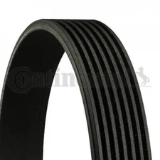 V-ribbed belt Continental CTAM 7PK1705 for Renault Nissan