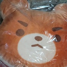 Jeon Ji-Sub The Readers' Point Teddy Bread Cushion 40cm