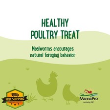 Dried Mealworms for Chickens, 5 lb, Natural Bird Food, Poultry Treats, Wild B...