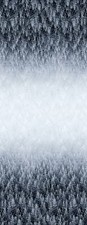 Christmas Fabric - Winter Forest Double Border Ombre - Timeless Treasures 18"