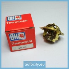 Thermostat Citroen C25