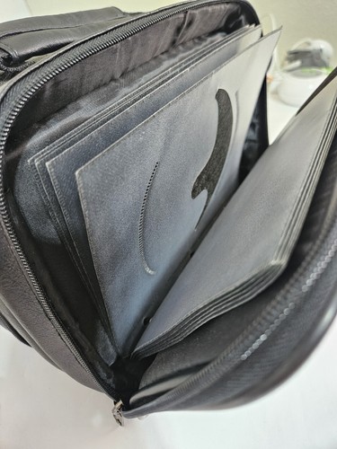 Audiovox AMC DV1680 Lettore DVD Portatile (6.8") con Custodia, Accordi, Telecomando ++ Funziona - Foto 10 di 13