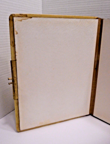 ANTIQUE VICTORIAN CELLULOID & VELVET PHOTOGRAPH ALBUM - Picture 14 of 15