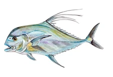 African Pompano Pennant Fish Fishing Home Office Room Camp Decor Decal Wall Art 