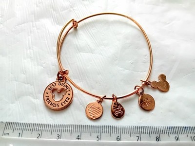 Alex & Ani Disney Best Friends Forever Armband rosegoldfarben A606