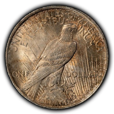 1923 $1 Silver Peace Dollar - Pattern Toning - SKU-D6865