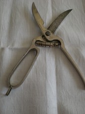 J.A. Henckel Zwillingswerke Solingen Geflügelschere D.R.G.M.