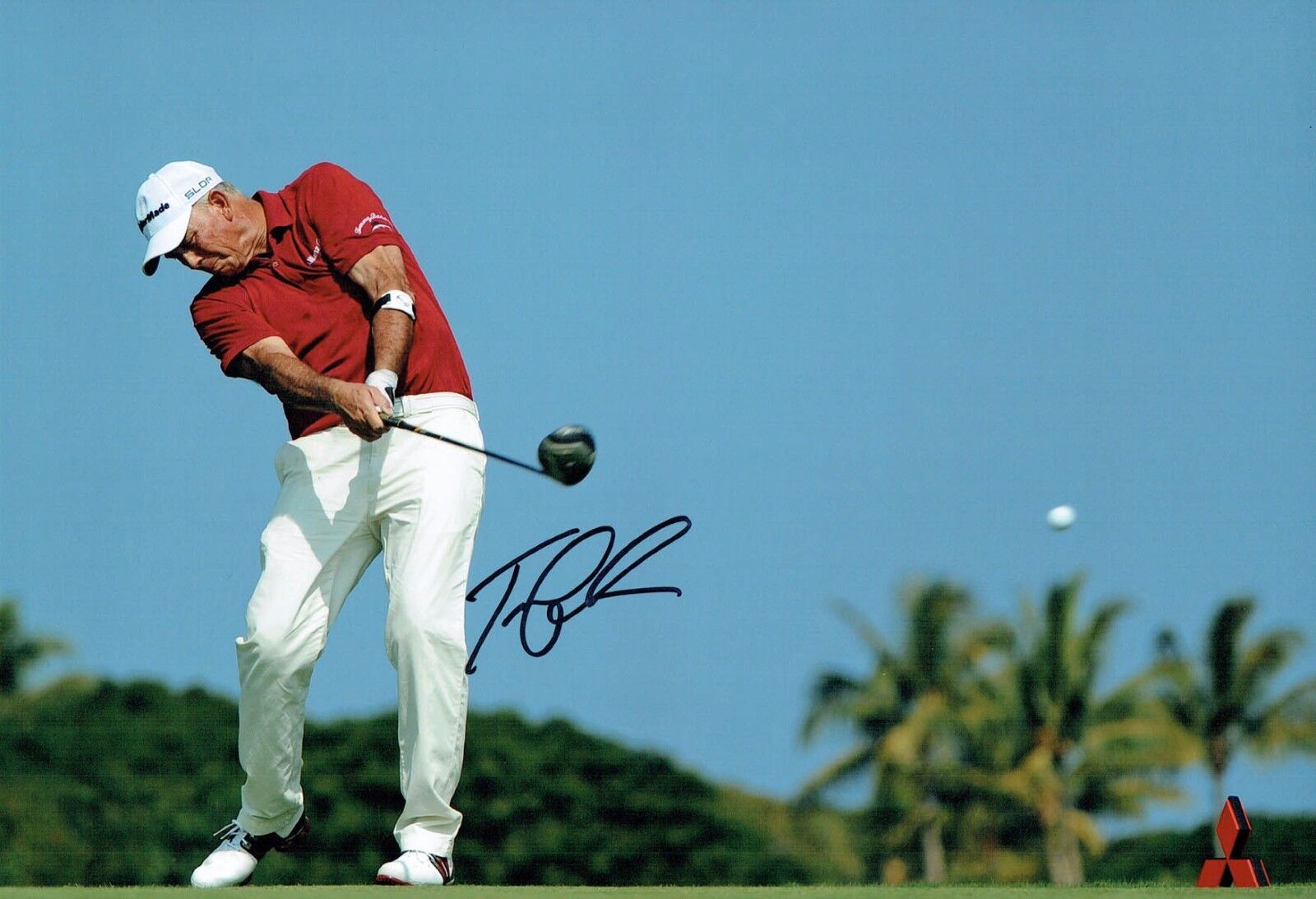 Tom LEHMAN SIGNED 1996 Open Golf Champion 12x8 Photo 1 AFTAL Autograph COA 