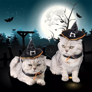 Image Is Loading Halloween Pet Cat Witch Hat Costume Magic Fancy